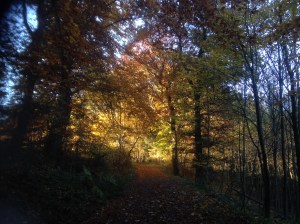 May the pure light within you guide your way on.